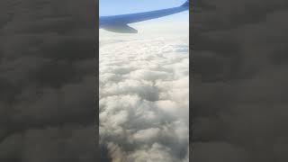 Above the clouds short shortfeed [upl. by Anek]