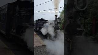 Beautiful Toy train ride steam engine  Darjeeling toytrain ytshorts viralshots train [upl. by Etteve]