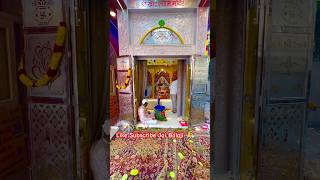 Shyam charno me de do thikana chandigarhkasamraat minivlog ytshorts hanuman balaji khatushyam [upl. by Lopes555]