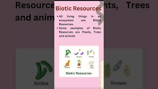 Biotic and Abiotic Resources [upl. by Gibson]