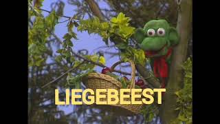 liegebeest volledig intro lied pieter Verlinden [upl. by Stewart]