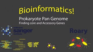 Bioinformatics  Prokaryote Pan Genome with Roary Timestamps [upl. by Llemaj]