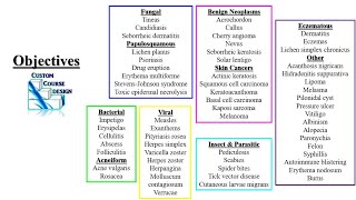 Dermatology Review PODs Part 1 PA NP Didactic PANCE PANRE [upl. by Fry766]