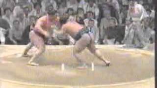 Hakuho vs Tochiazuma nagoya 2004 [upl. by Sanalda]