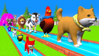 Paint amp Animals CowGorrilaDuckLionDogElephant Fountain Crossing Transformation Animals Cartoon [upl. by Novy803]