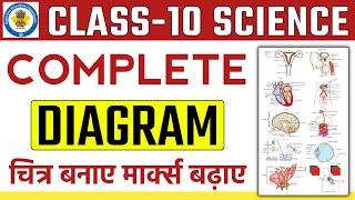 Class 10 Science Important Diagram  चित्र कैसे बनाएं  Diagram in Easy Way [upl. by Beaver]