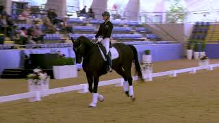 FEI Masterclass Intermediate A Demonstration Rider Jodie Dunstan on Hollands Bend Highlander [upl. by Ynehteb]