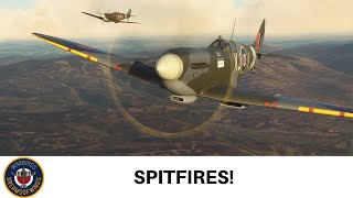 Microsoft Flight Simulator Multiplayer Spitfire Pair  FlyingIron LF Mk IXc amp Aeroplane Heaven MkIa [upl. by Venable]