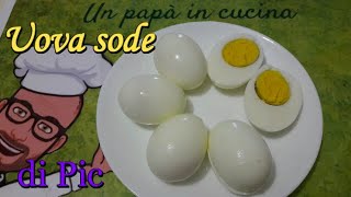 Uova sode di Pic ricette con Bimby Tm6 Tm5 Tm31 Tm21 Thermomix [upl. by Einnob311]