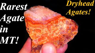 I Can NOT Believe I Actually Have THESE Dryhead Agates the RAREST Agate in Montana [upl. by Slater]