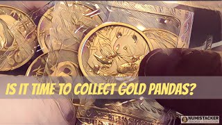 Should I start to collect gold pandas [upl. by Brody]