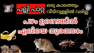 പഴം ഉണ്ടെങ്കിൽ എലിയെ തുരത്താം  പല്ലി പാറ്റ ഒരു കാലത്തും വീടിനുള്ളിൽ വരില്ല  Powerful Rat Repellent [upl. by Ayokal]