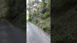 The road to the Vajrapani Institute buddhism retreatcenter [upl. by Neve]