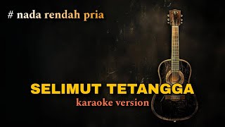 SELIMUT TETANGGA  KARAOKE AKUSTIK NADA RENDAH COWOK [upl. by Farra]