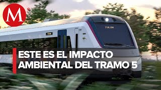 Fonatur presenta la manifestación de impacto ambiental del Tren Maya [upl. by Pylle]