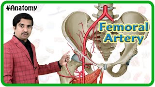 Femoral Artery Anatomy Animation  Origin Course Branches and relations  Dr G Bhanu Prakash [upl. by Matthew]