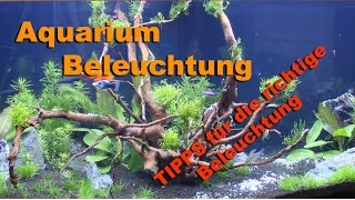 Aquarium Beleuchtung Tipps für die richtige Beleuchtung [upl. by Delija615]