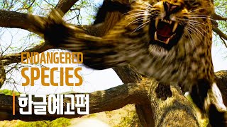 Endangered Species Official Trailer  한글 자막 예고편 [upl. by Swehttam453]