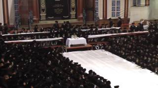 Simchas Torah in Satmar 09 [upl. by Anielram552]