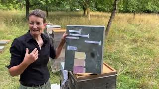 Gemeinsam Teilen und Behandeln  Live von Pias Bienenstand  2507 [upl. by Akisey]