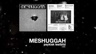 Meshuggah  Psykisk Testbild  1989  Full EP HD [upl. by Reyotal]