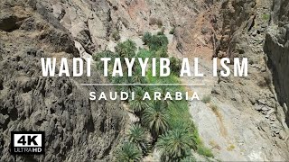 Wadi Tayyib Al Ism  Gulf of Aqaba Saudi Arabia 🇸🇦 [upl. by Ysus]