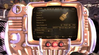 The Coolest Unique Item in FNV [upl. by Aniger]