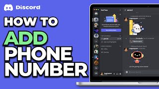 How To Add Phone Number on Discord [upl. by Verena58]