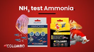 Colombo Pond Ammonia NH3 Test [upl. by Ube]