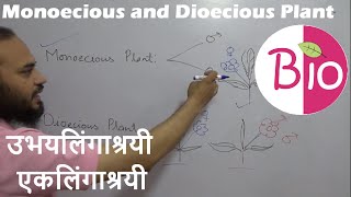 Difference in Monoecious and Dioecious Plants उभयलिंगाश्रयी एकलिंगाश्रयी by Simply The Best BIO [upl. by Raamaj]