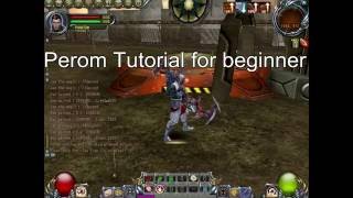 Peroms Tutorial Laghaim [upl. by Eirhtug]