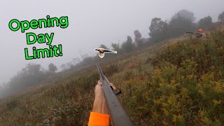 Opening Day Pheasant Hunt Limited Out [upl. by Philina]