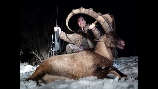 Bezoar Ibex Hunting in Turkey  Kemal Burak DURANERRecp Ecer [upl. by Epoillac920]