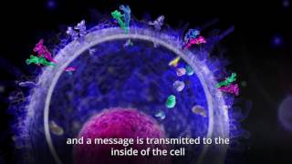 Genes amp How They Work Part 2 Targeted Therapies and Cell Signalling [upl. by Ehtyaf]