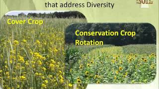 Soil Health Management Systems  Using NRCS Practice Standards [upl. by Ronal843]