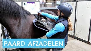 Hoe zadel je een paard af [upl. by Clarette276]