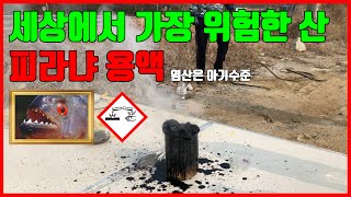 피라냐 용액 지옥에서 온 산 모든것을 파괴한다  염산은 아기수준 [upl. by Yttik]