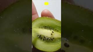 how to grow kiwi from seed at home garden hacks [upl. by Ahsahtan512]