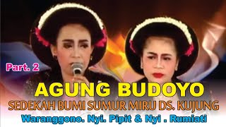 Tayub Agung Budoyo Nyi Pipit  Nyi Rumiati Sedekah Bumi Sumur Miru Part 2 Siang [upl. by Schaumberger]