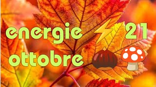 ENERGIE ⚡ 21 OTTOBRE 🍄🌰 [upl. by Bourgeois201]