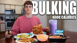 4000 Calorie Full Day of Eating  BULKING Meal Prep [upl. by Hsizan367]