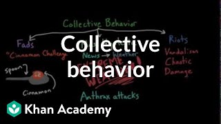 Aspects of Collective Behavior Fads Mass Hysteria and Riots  Behavior  MCAT  Khan Academy [upl. by Gaylene]