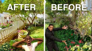 🤯 Before and After 🤯 trending vlog garden minivlog video viralvideo trendingvideo funny [upl. by Bobbe24]