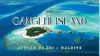 VeraClub Gangehi Island  Atollo di Ari  Maldive 🇲🇻 POV [upl. by Rolanda]