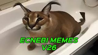 ECNEBI MEMES V26 [upl. by Polivy299]