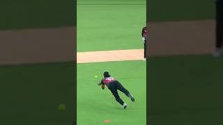 What a catch😱66666🏏FukrainsaanAbhishek malanECLshorts [upl. by Warchaw]