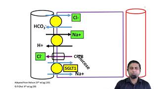 Oral Rehydration Salt and Diarrhoea [upl. by Breger]