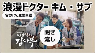 リエン韓国語298 「聞き流し」韓国ドラマ「浪漫ドクターキム・サブ」韓ドラ名セリフ  リエンハングル [upl. by Carolee]