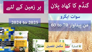 Fertilizer plan for wheat crop 2024 to 2025  Potential yield 60 to 70 Mann  Kissan Ghar  price [upl. by Kristofer169]