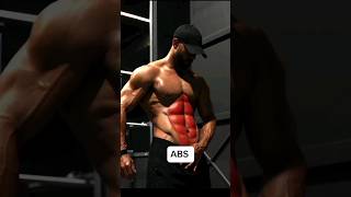 5 Minutes Daily Abs Routine for a Sculpted Stomach [upl. by Ammadas65]